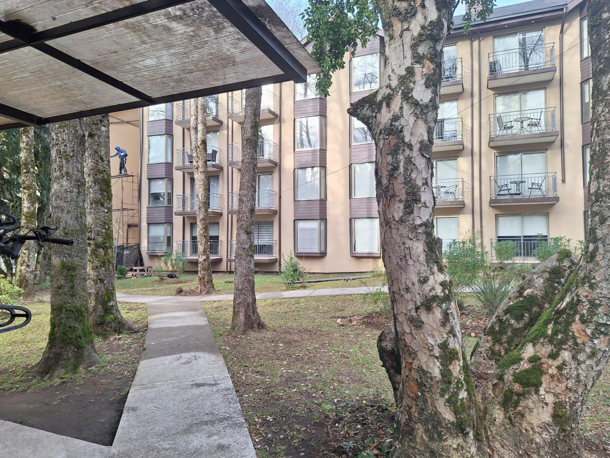 Apartamento Magico Lugar En Pucón