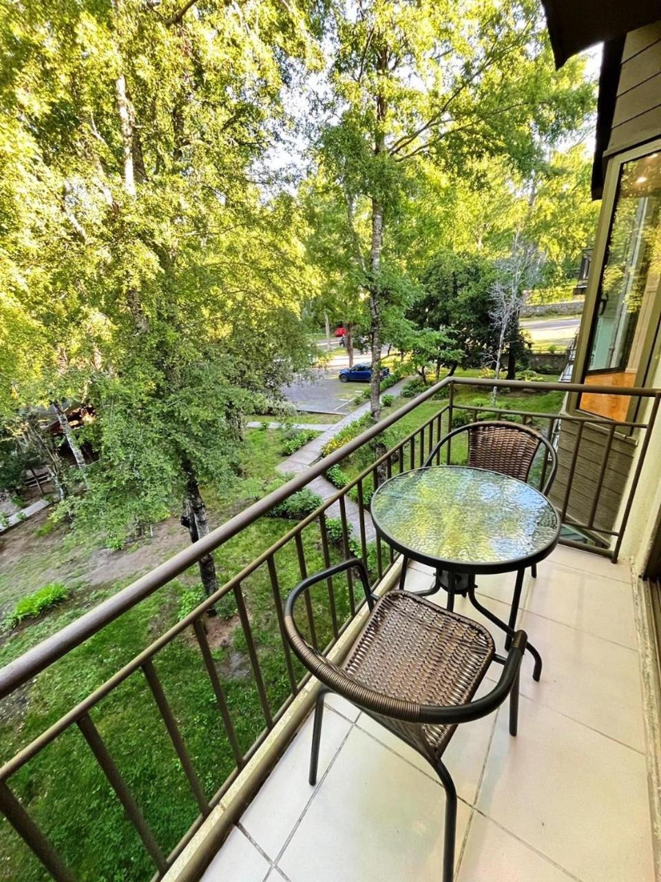 Magico Lugar En Apartamento Pucón